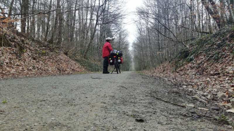 The way of the Plantagenets